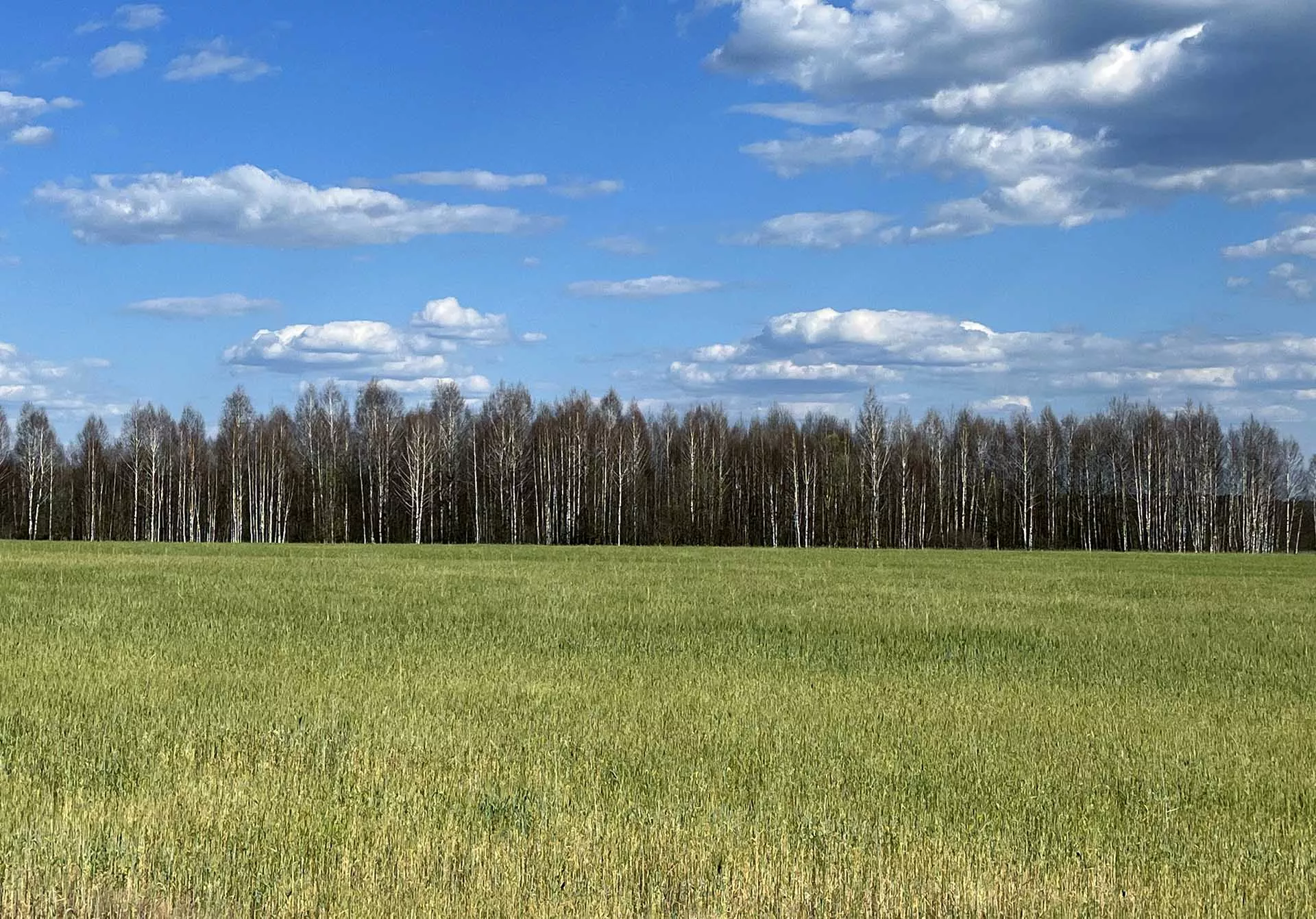 Павел Львов/РИА Новости