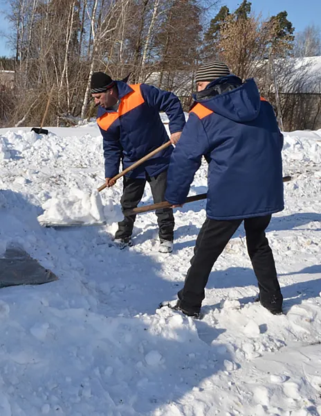 В&nbsp;лесничествах Волгоградской области заготовлен снег для&nbsp;хранения сеянцев