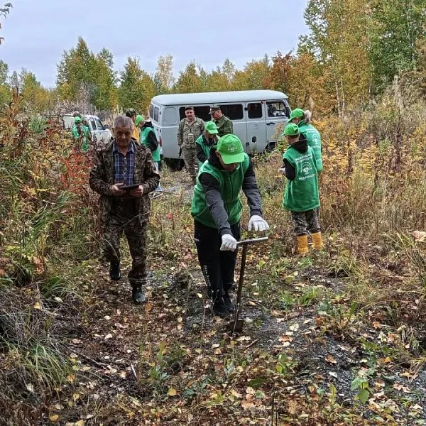 На&nbsp;Камчатке в&nbsp;2026&nbsp;году восстановят 6&nbsp;гектаров леса