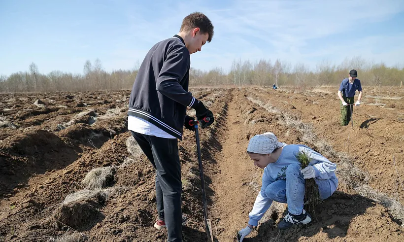 В&nbsp;Нижнем Новгороде украсят цветами около 30&nbsp;тысяч квадратных метров