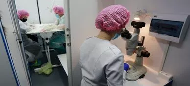 Белгородский государственный национальный исследовательский университет