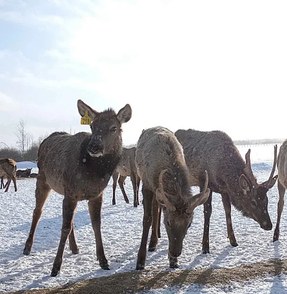 В&nbsp;Кировской области появятся два новых туристических маршрута
