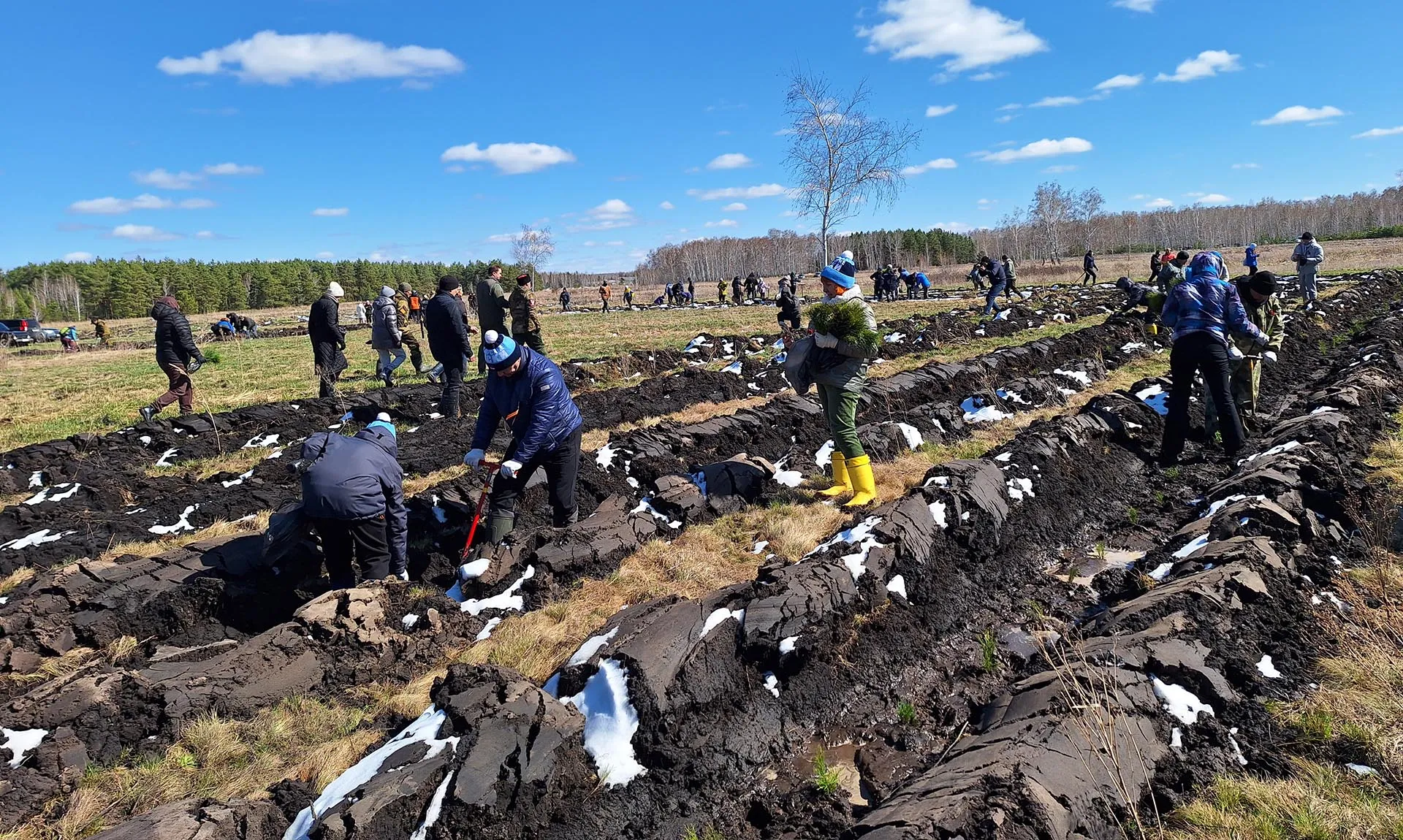 Главное управление лесного хозяйства Омской области