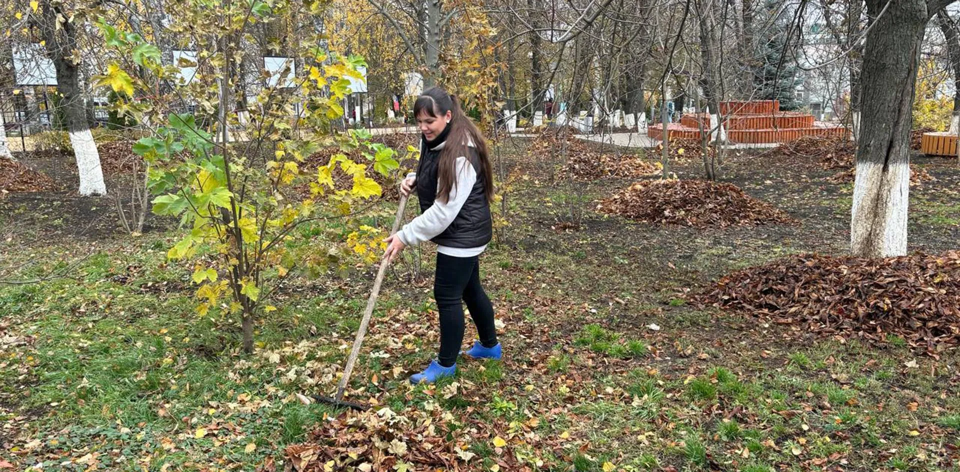 Администрация Вейделевского района