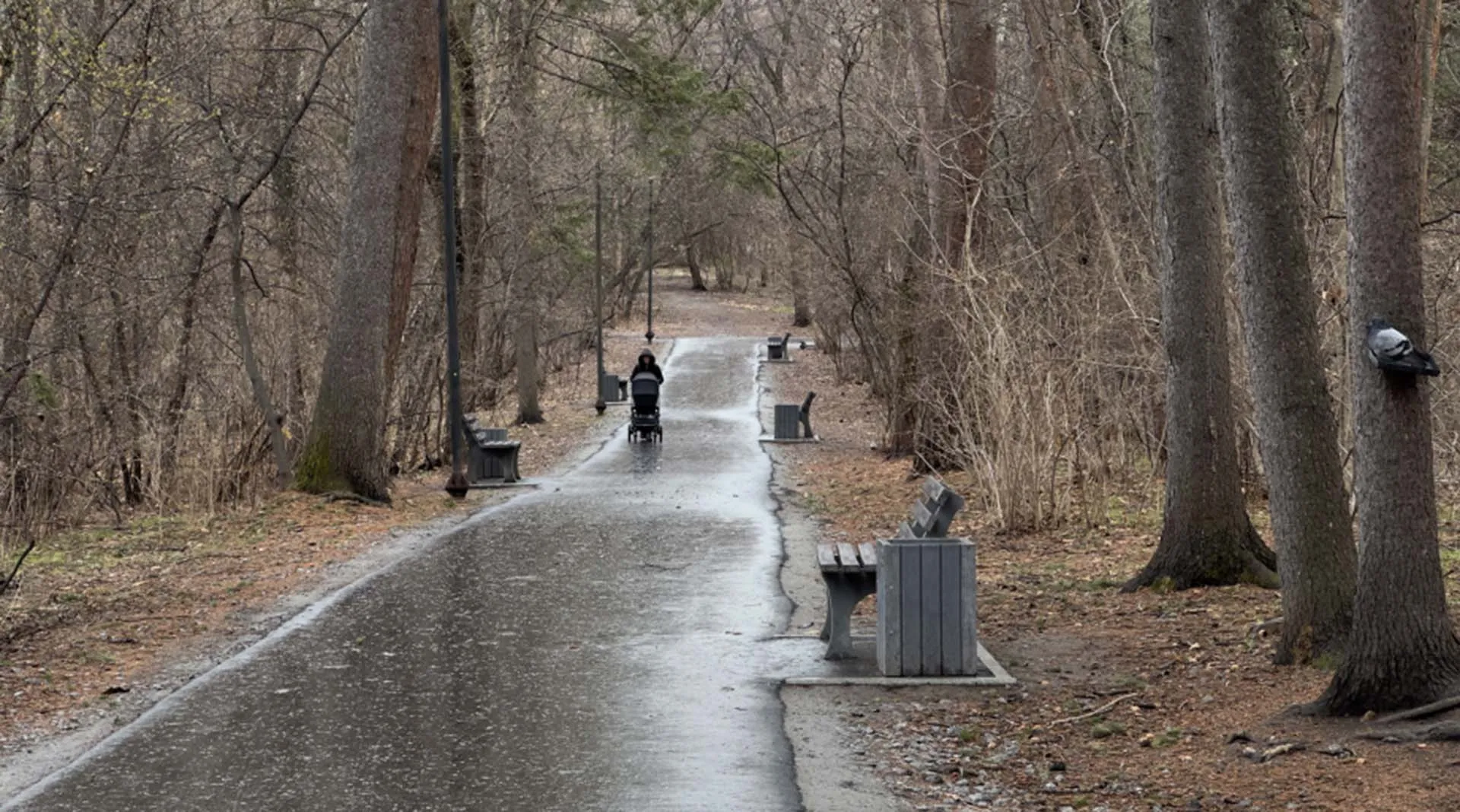 Комитет по информационной политике и массовым коммуникациям Правительства Хабаровского края