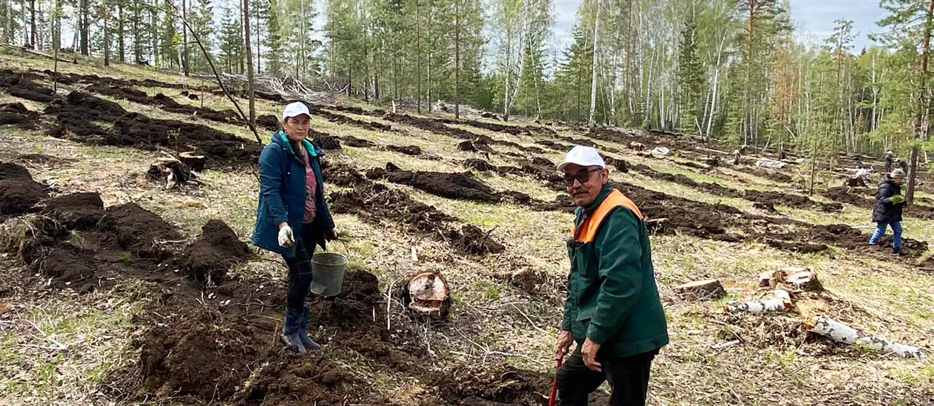 Министерство лесного хозяйства Республики Башкортостан