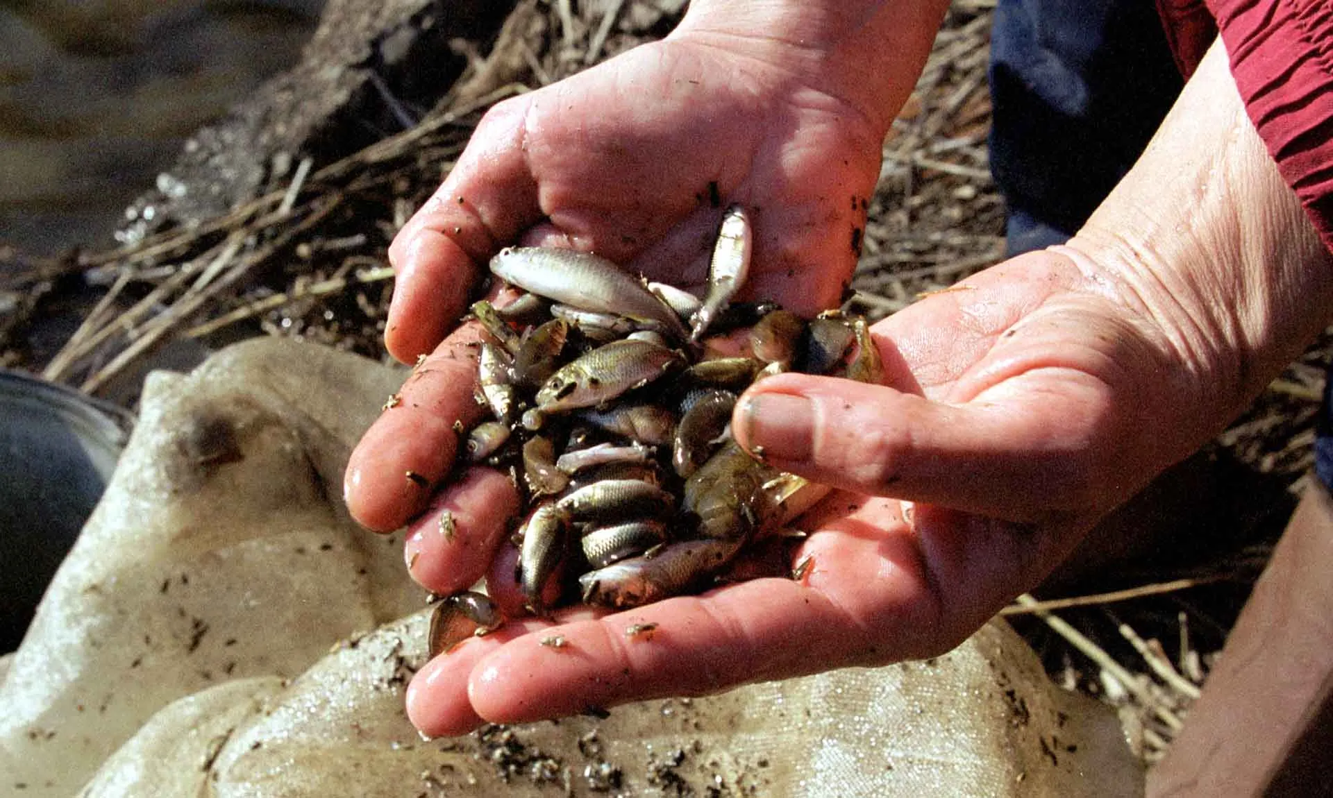 Саяпин Владимир/ТАСС