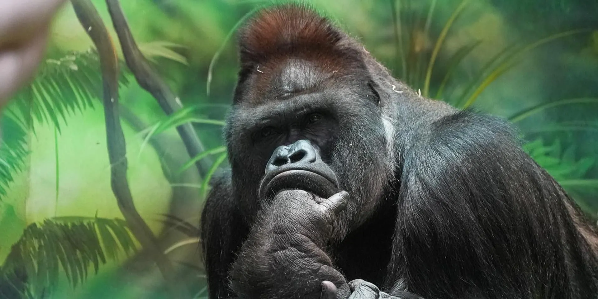 Департамент экономической политики и развития г. Москвы