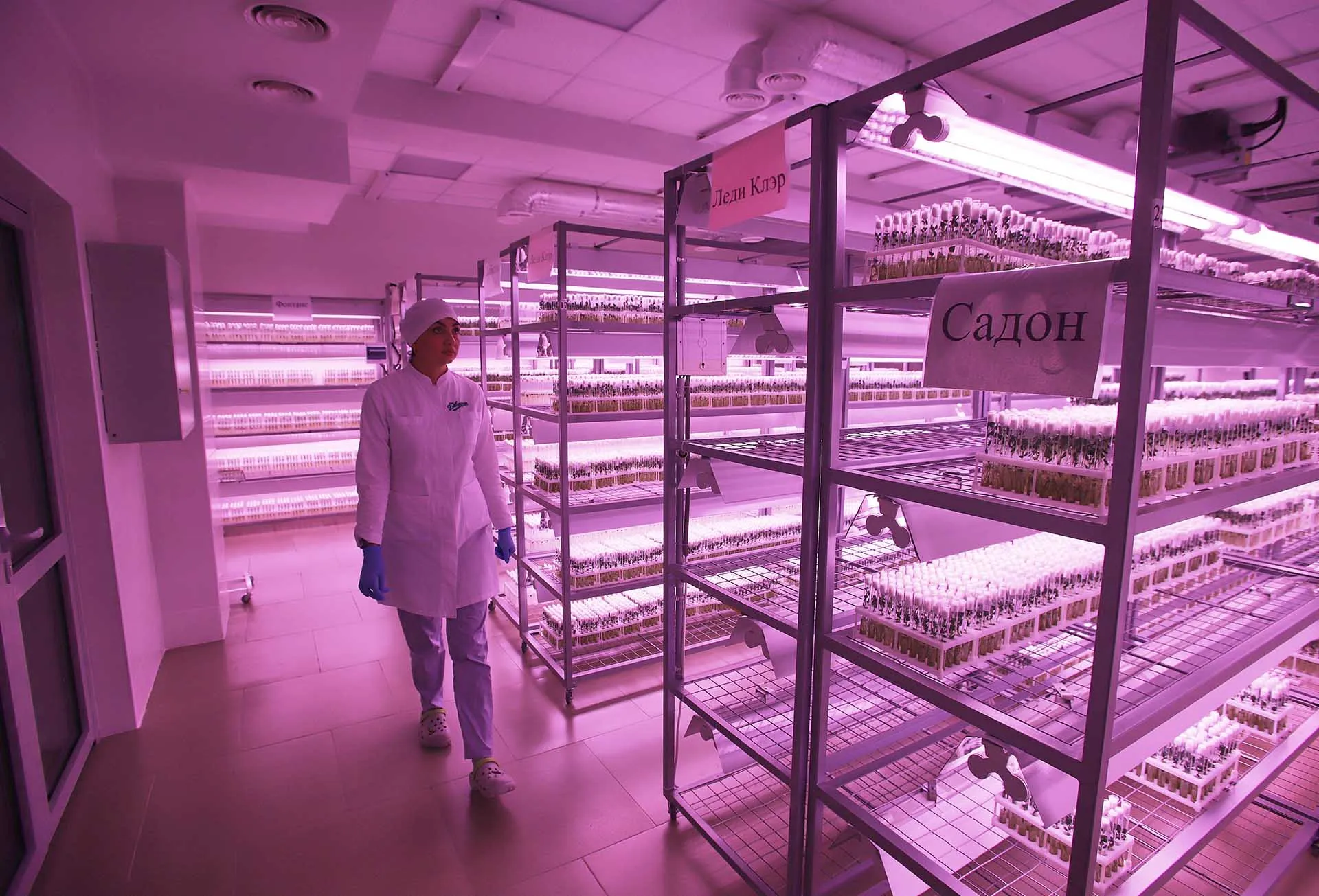 От лекарств до топлива: как биоэкономика делает жизнь россиян лучше