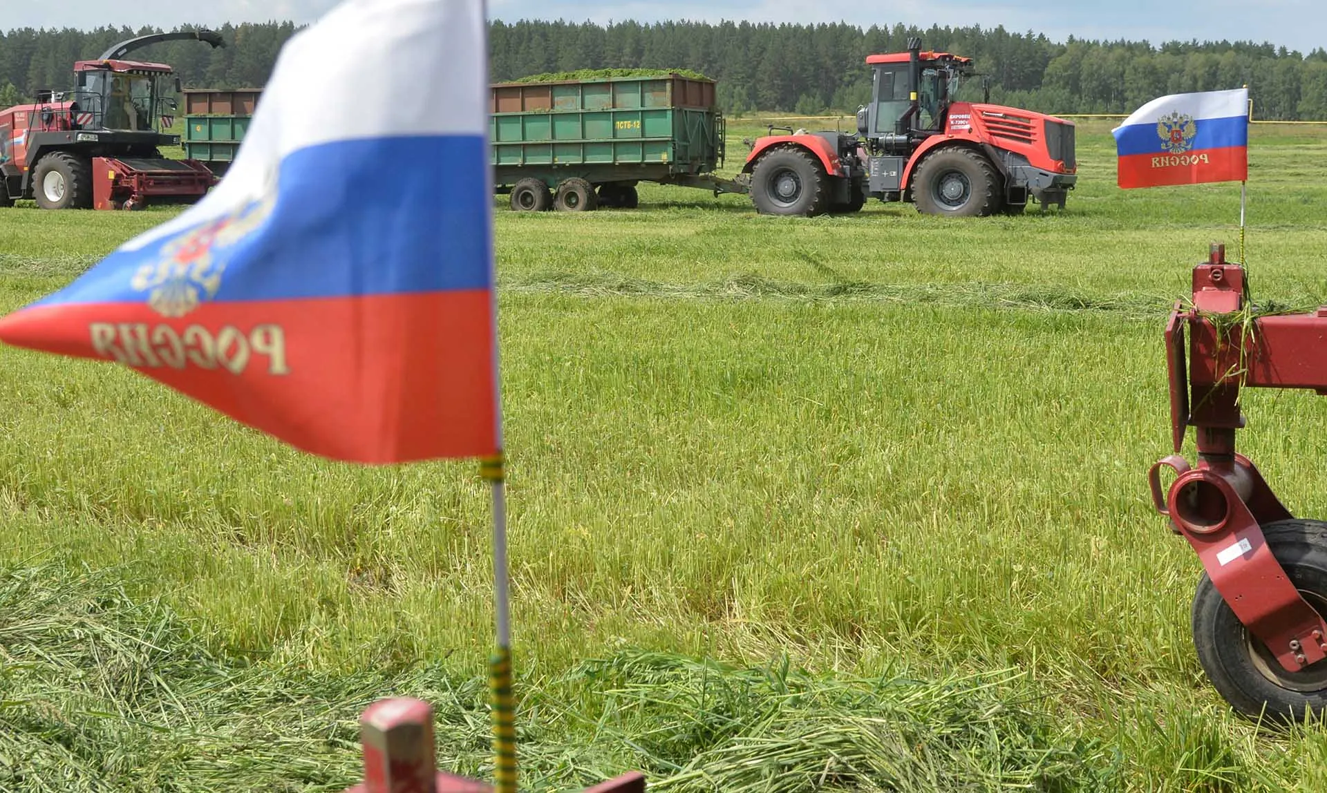 Единство большой страны: какой вклад в общее будущее вносят макрорегионы