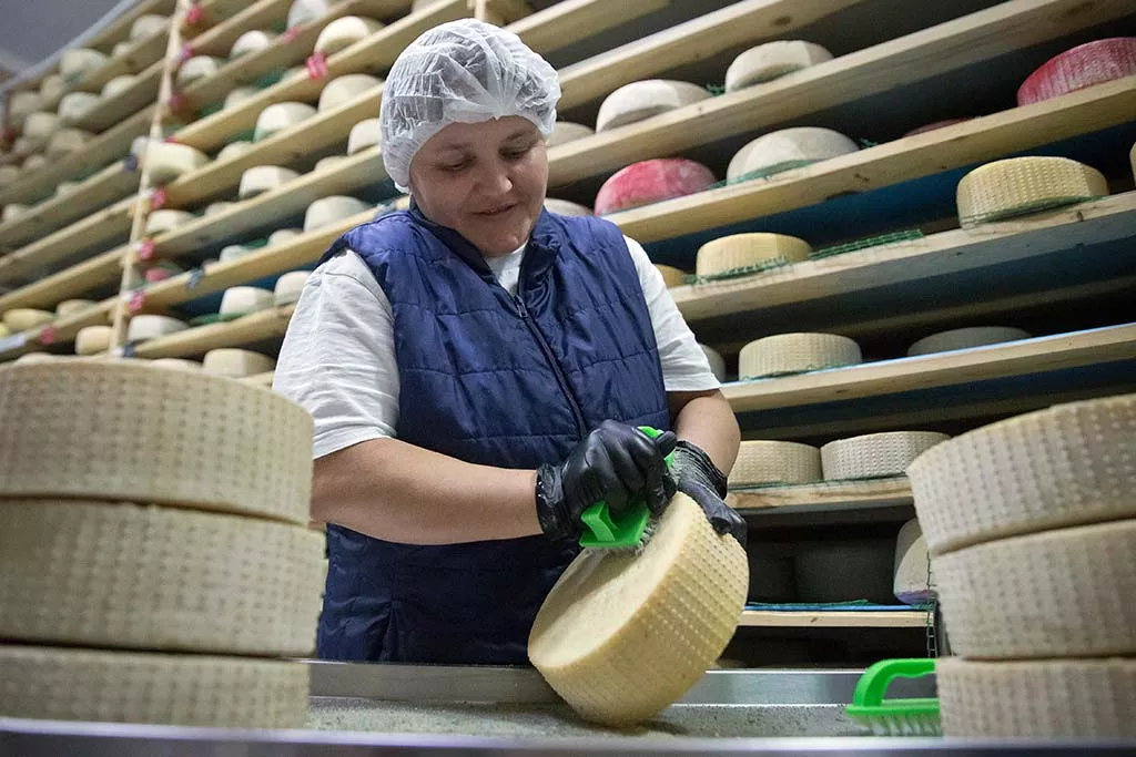 Прокачай свой бизнес в режиме онлайн: чем полезна цифровая платформа МСП