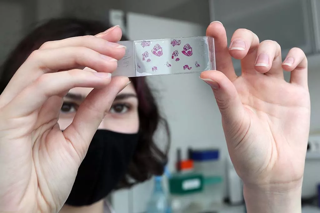 Выплаты семьям, поддержка университетов и туризм: главное из отчета Мишустина в Госдуме 