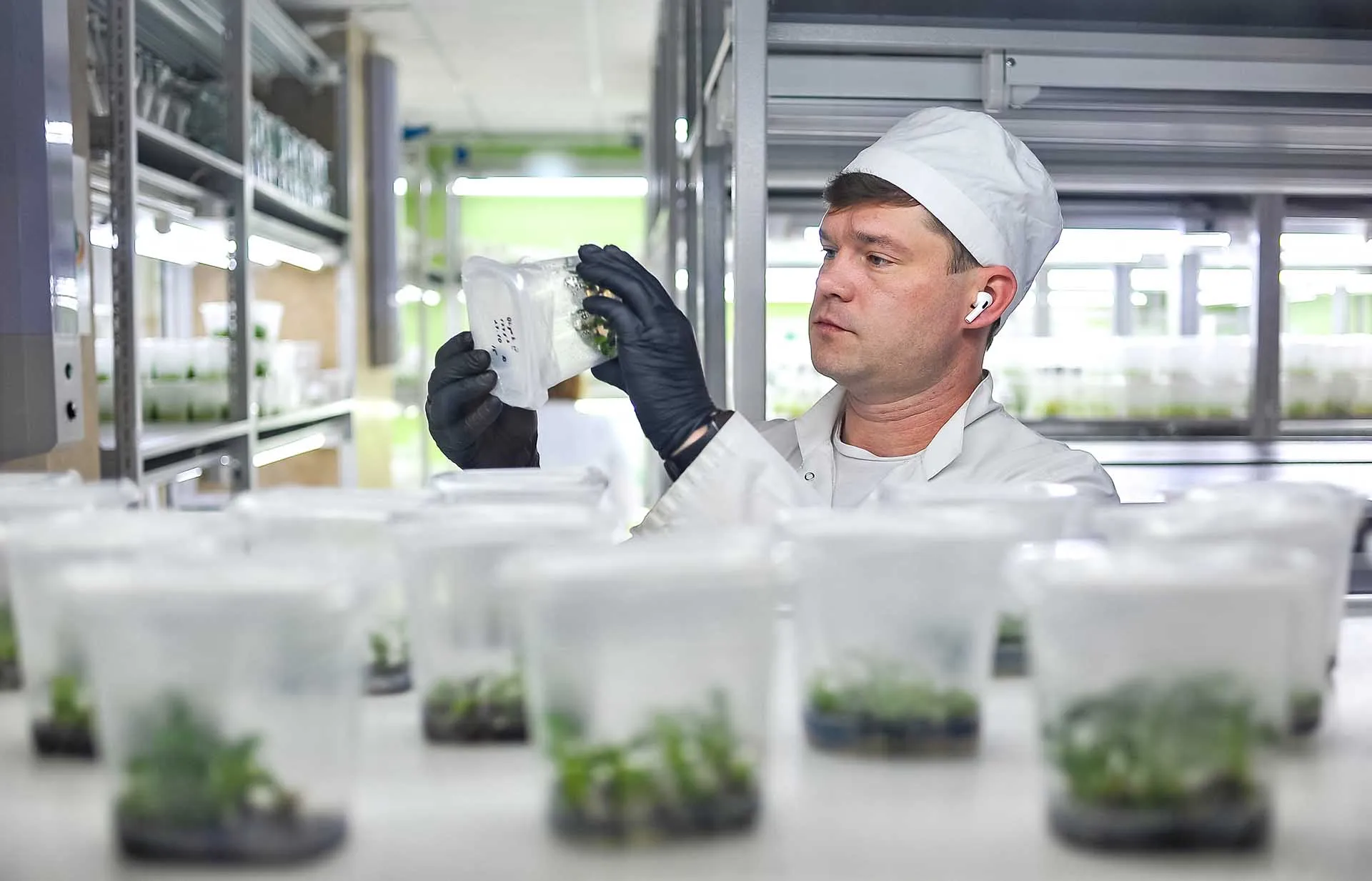 От лекарств до топлива: как биоэкономика делает жизнь россиян лучше