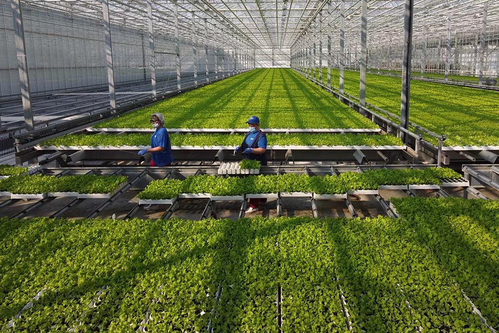 Весна вкусна: какие сезонные продукты Роспотребнадзор рекомендует в марте