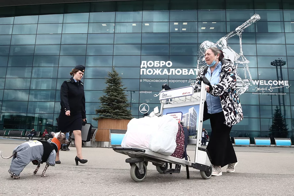 Капитал на отдых: какую помощь от государства получил туристический бизнес