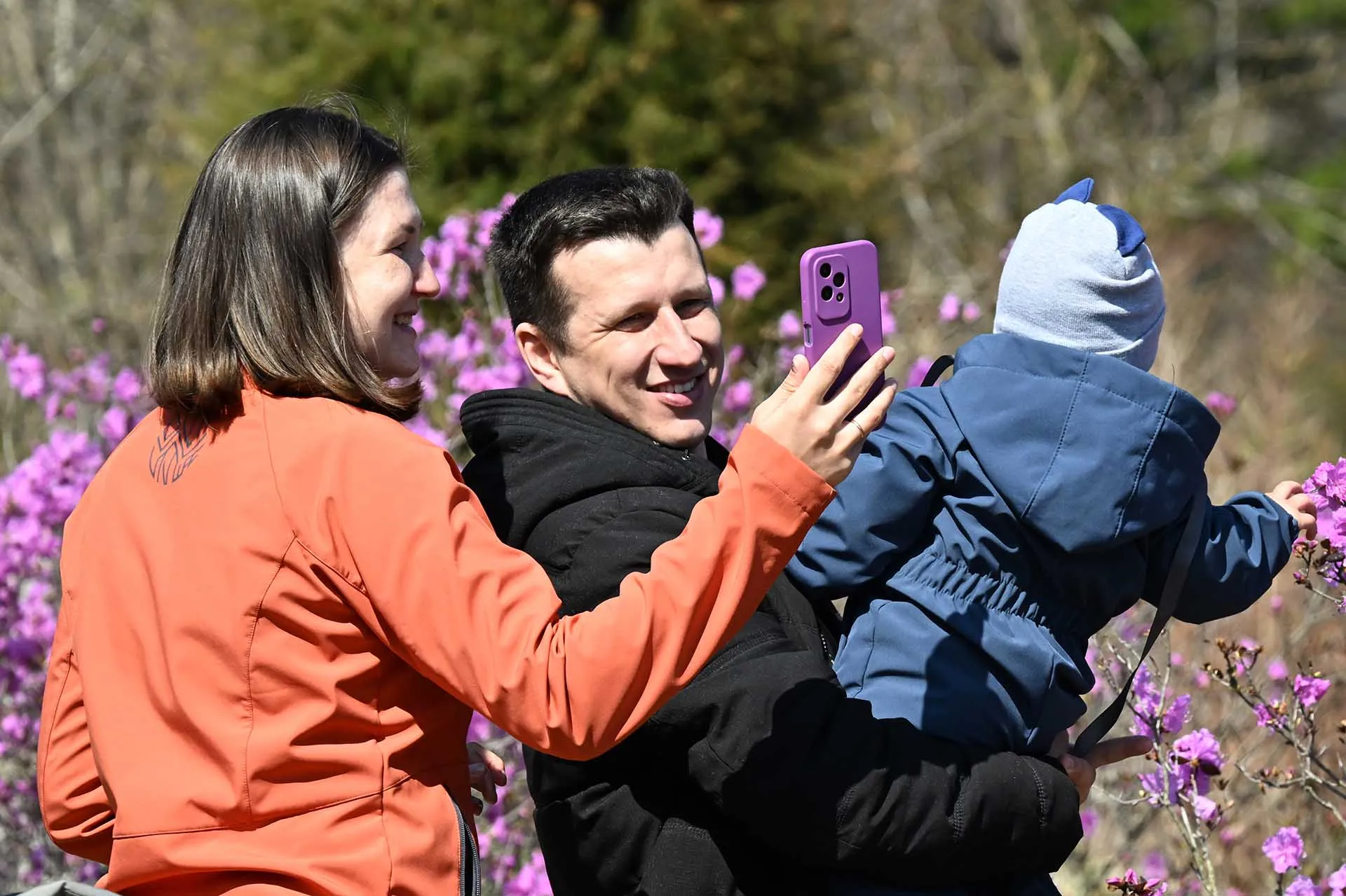 В несколько кликов: как работают «Жизненные ситуации» на «Госуслугах»