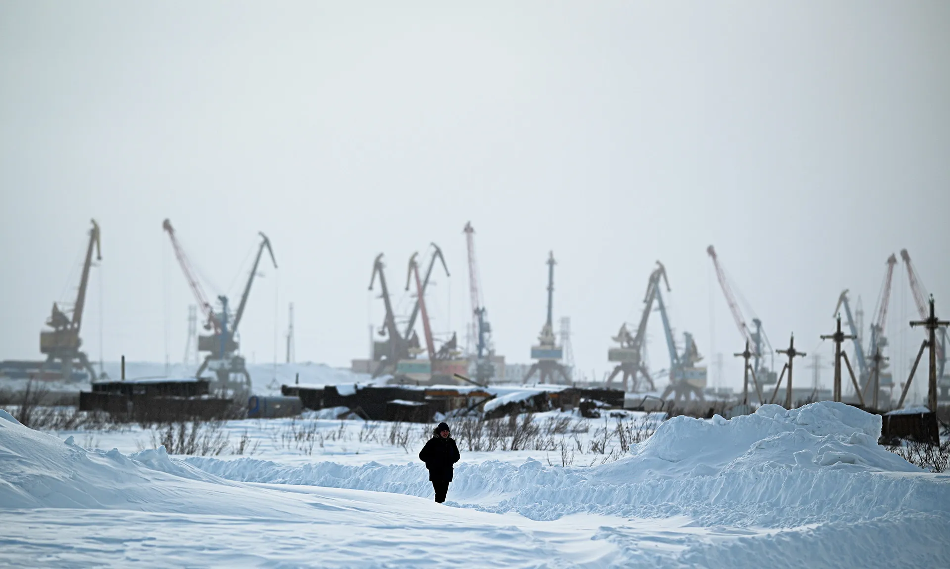 Свобода от заторов, пиратов и конфликтов: Россия развивает Севморпуть