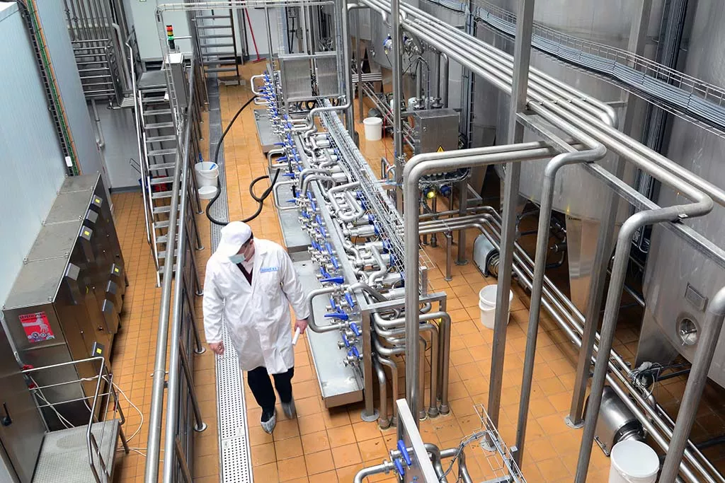 Пломбир со вкусом майских одуванчиков: российское мороженое, популярное за границей