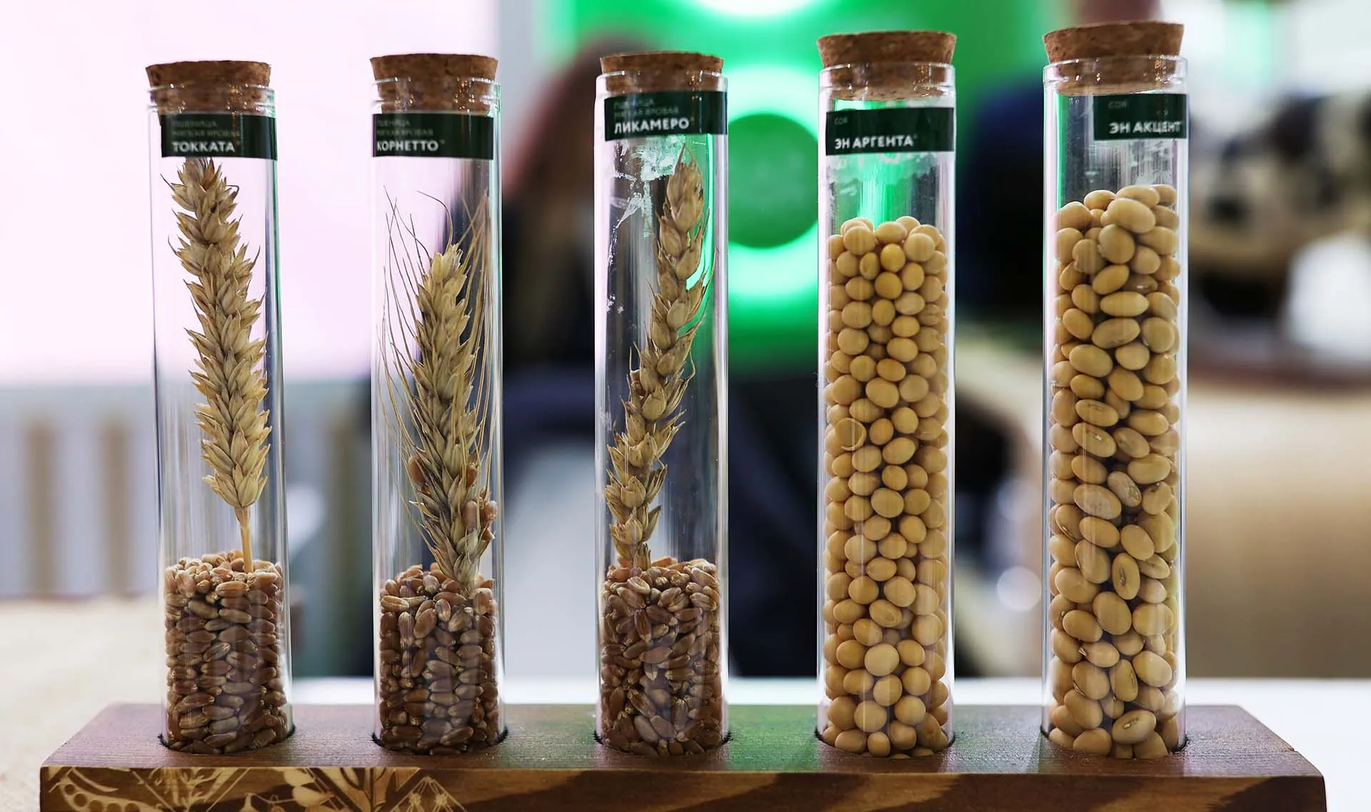 От нишевых культур до агротуризма: как бизнес становится локомотивом АПК