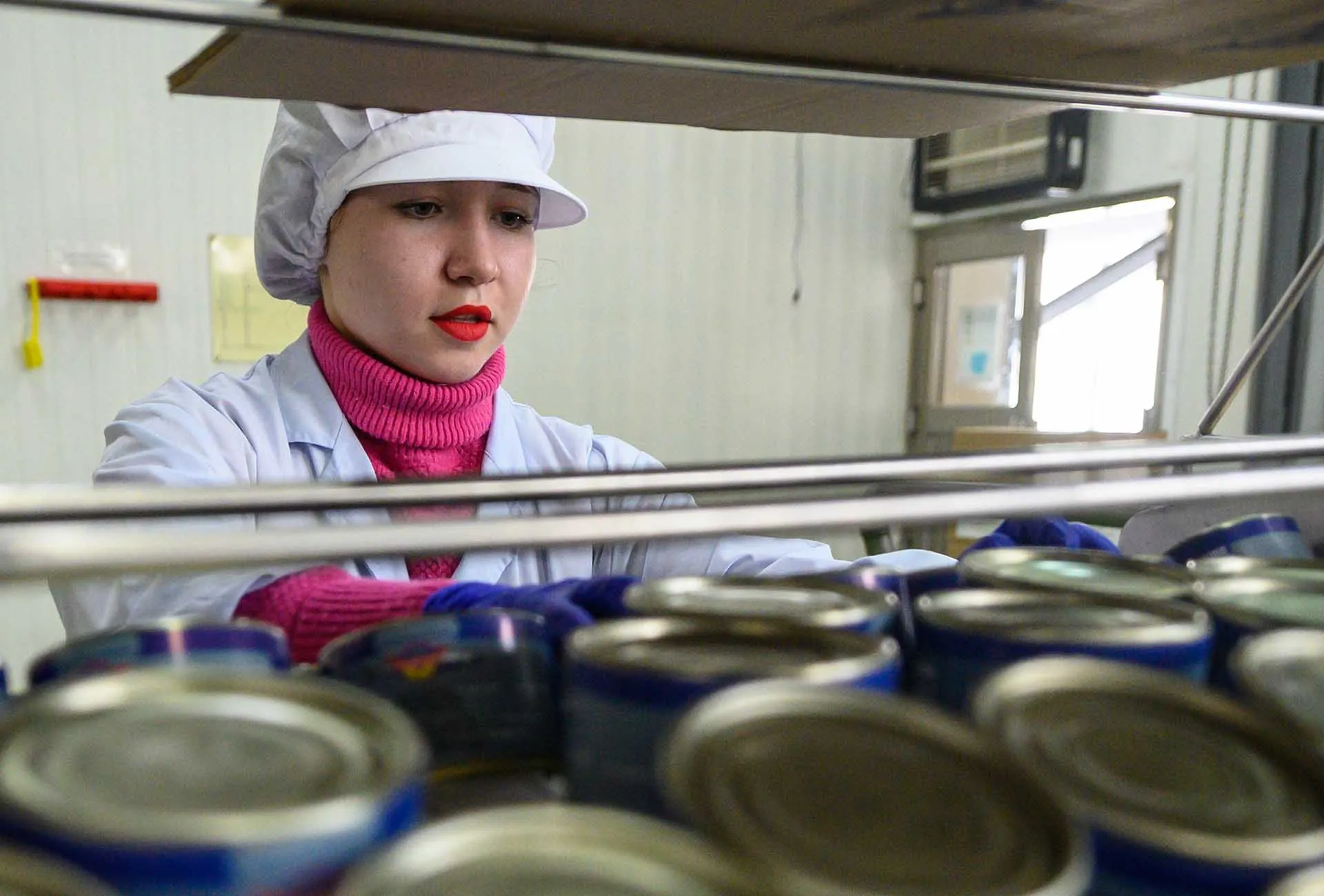 Проверки здорового роста: как профессиональный аудит помогает бизнесу