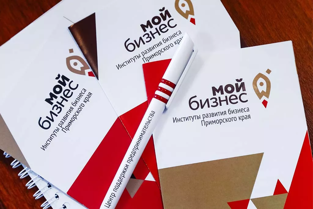 Популяризируй, развивай: какие возможности дает нацпроект МСП