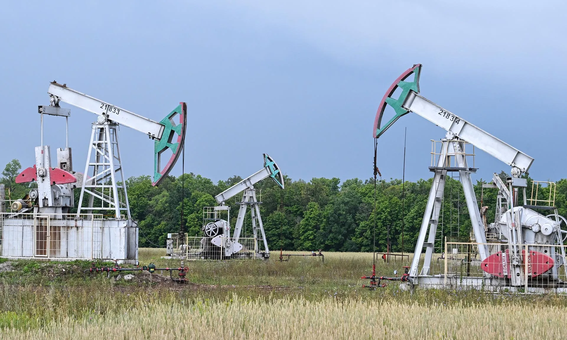 От локализации к технологическому суверенитету: экспертный доклад