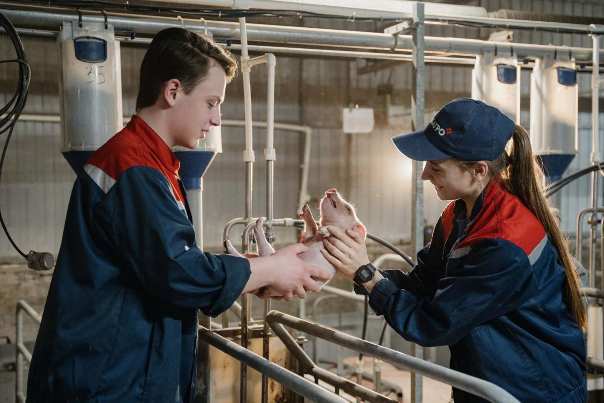 Правильный старт: почему работодатели чаще выбирают выпускников колледжей