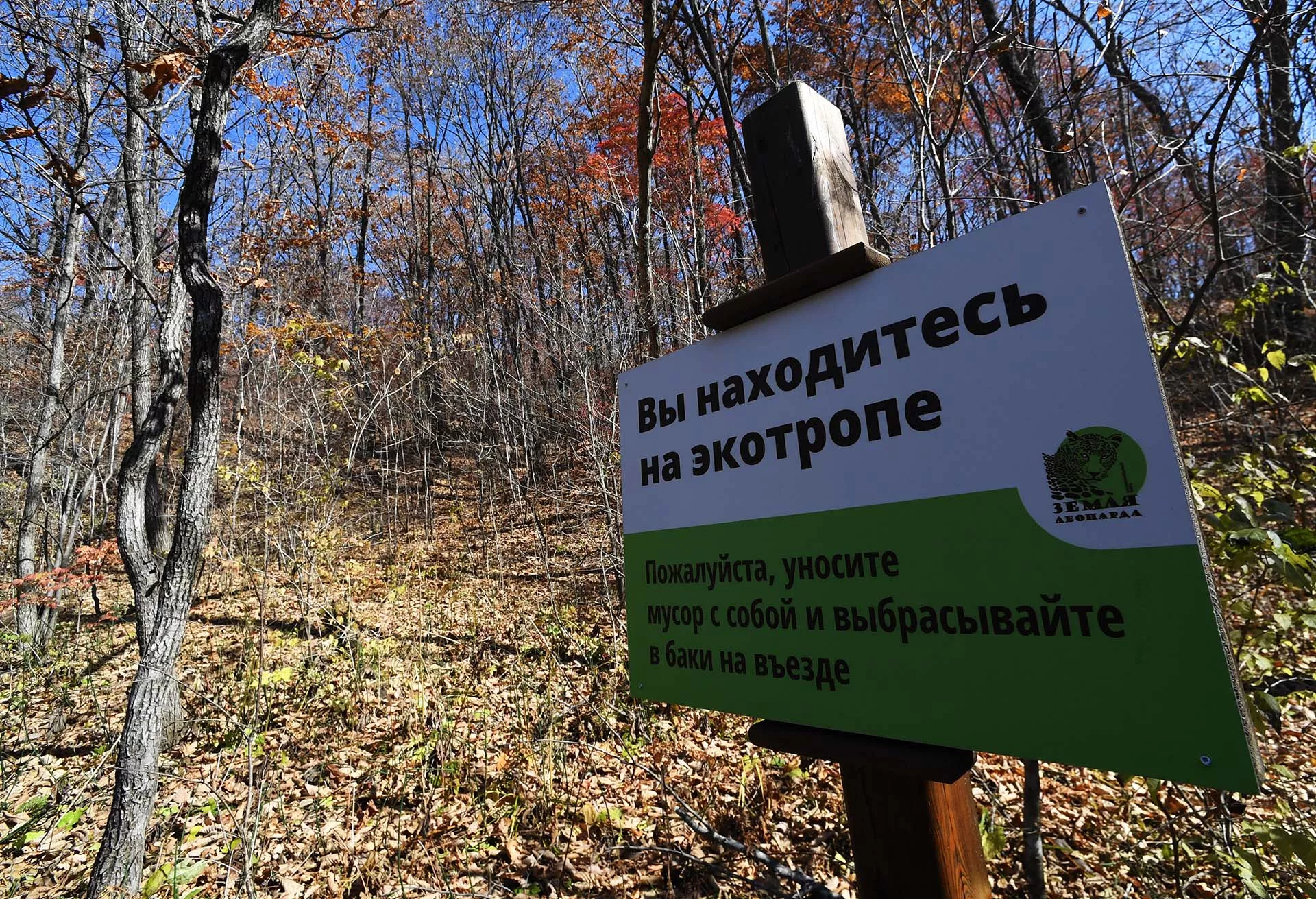 Сила синергии: Камчатка готовится принять «зеленый» молодежный форум