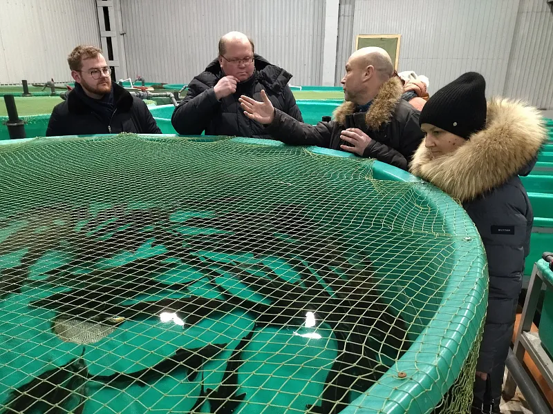 В&nbsp;поселке Борок Ярославской области создадут новый экскурсионный маршрут