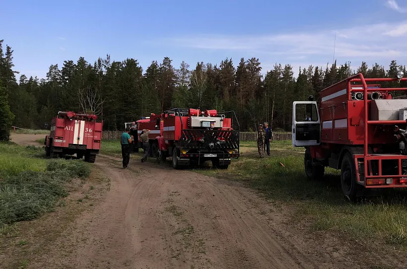 В&nbsp;Иркутской области сократилось количество лесных пожаров