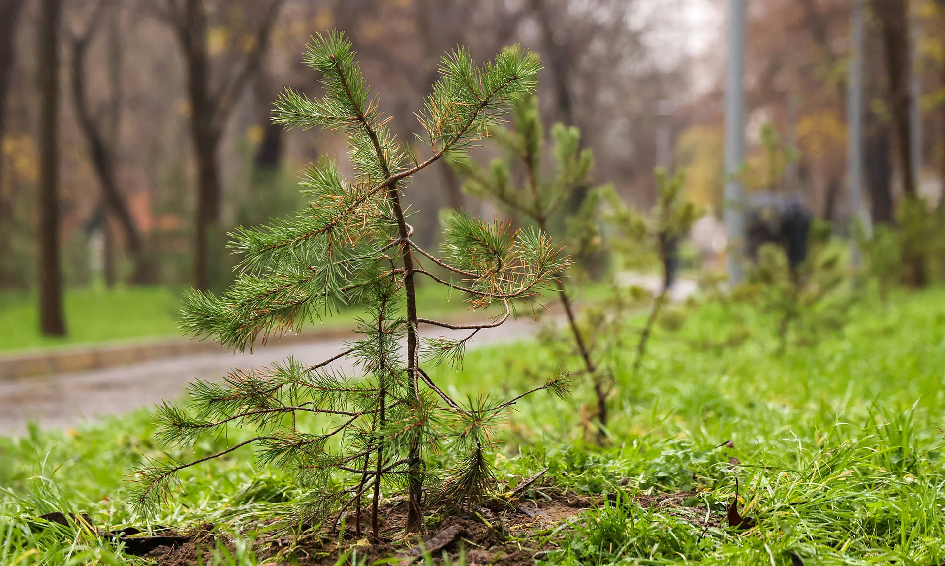  Муса Салгереев/ТАСС