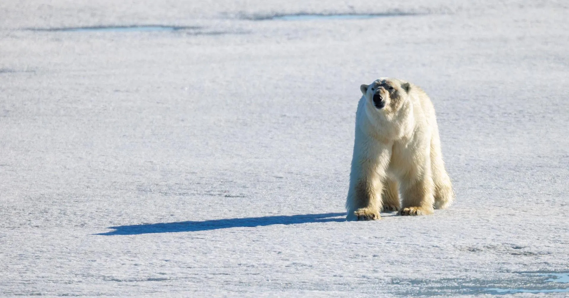 Илья Тимин/РИА Новости