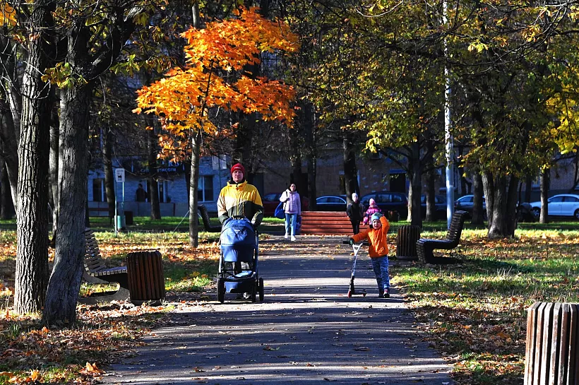 Два сквера благоустроили в&nbsp;Кировском районе Санкт-Петербурга