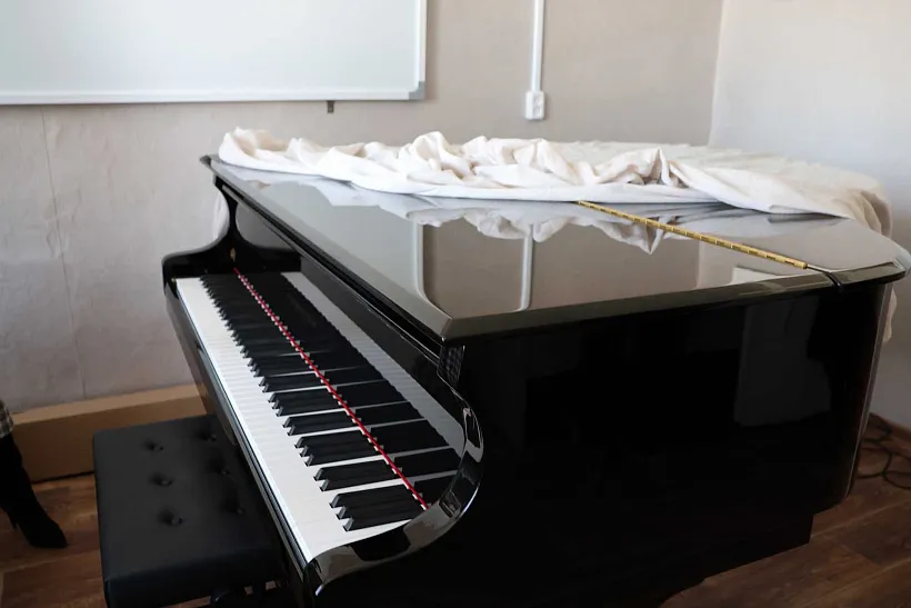 В&nbsp;городе Червонопартизанске в&nbsp;ЛНР отремонтируют школу искусств