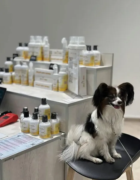 Хабаровскую уходовую косметику для&nbsp;животных начали поставлять в&nbsp;Белоруссию