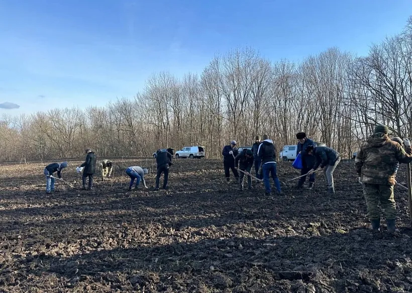 В&nbsp;Сунженском лесничестве в&nbsp;Ингушетии посеяли 250&nbsp;кг семян дуба и&nbsp;бука
