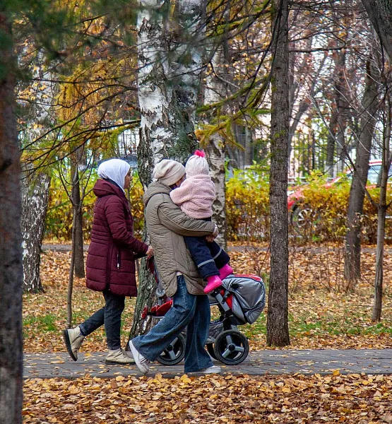 В&nbsp;Петербурге до&nbsp;конца года благоустроят сквер Рудольфа Фурманова