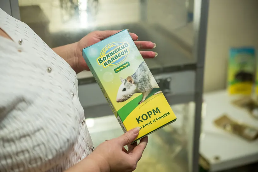 Самарский предприниматель начала делать корма для&nbsp;домашних грызунов