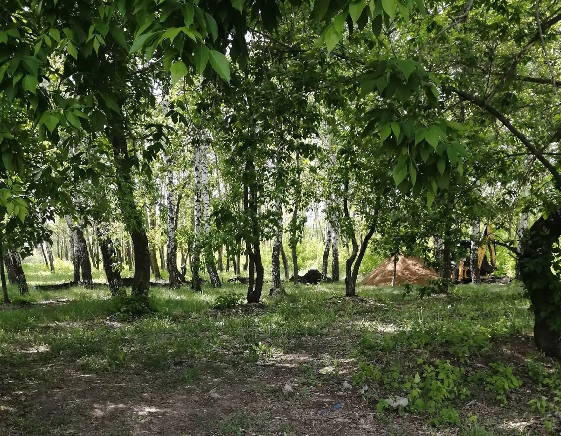 Администрация городского округа Кинель