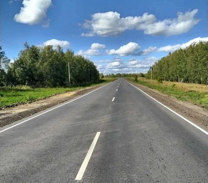 В&nbsp;Ульяновской области обновят около 43&nbsp;км дорог опорной сети