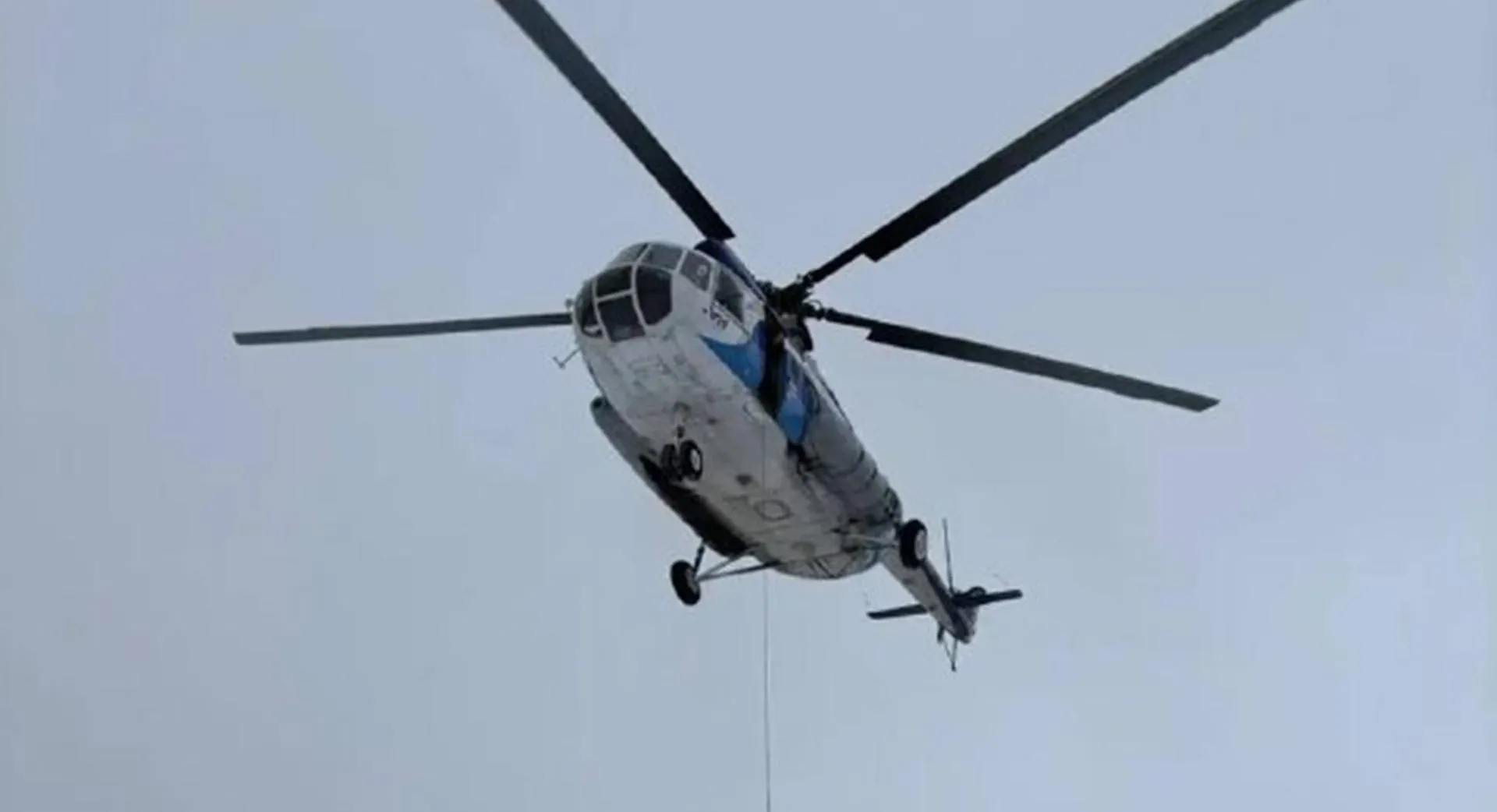 Департамент лесного комплекса Вологодской области