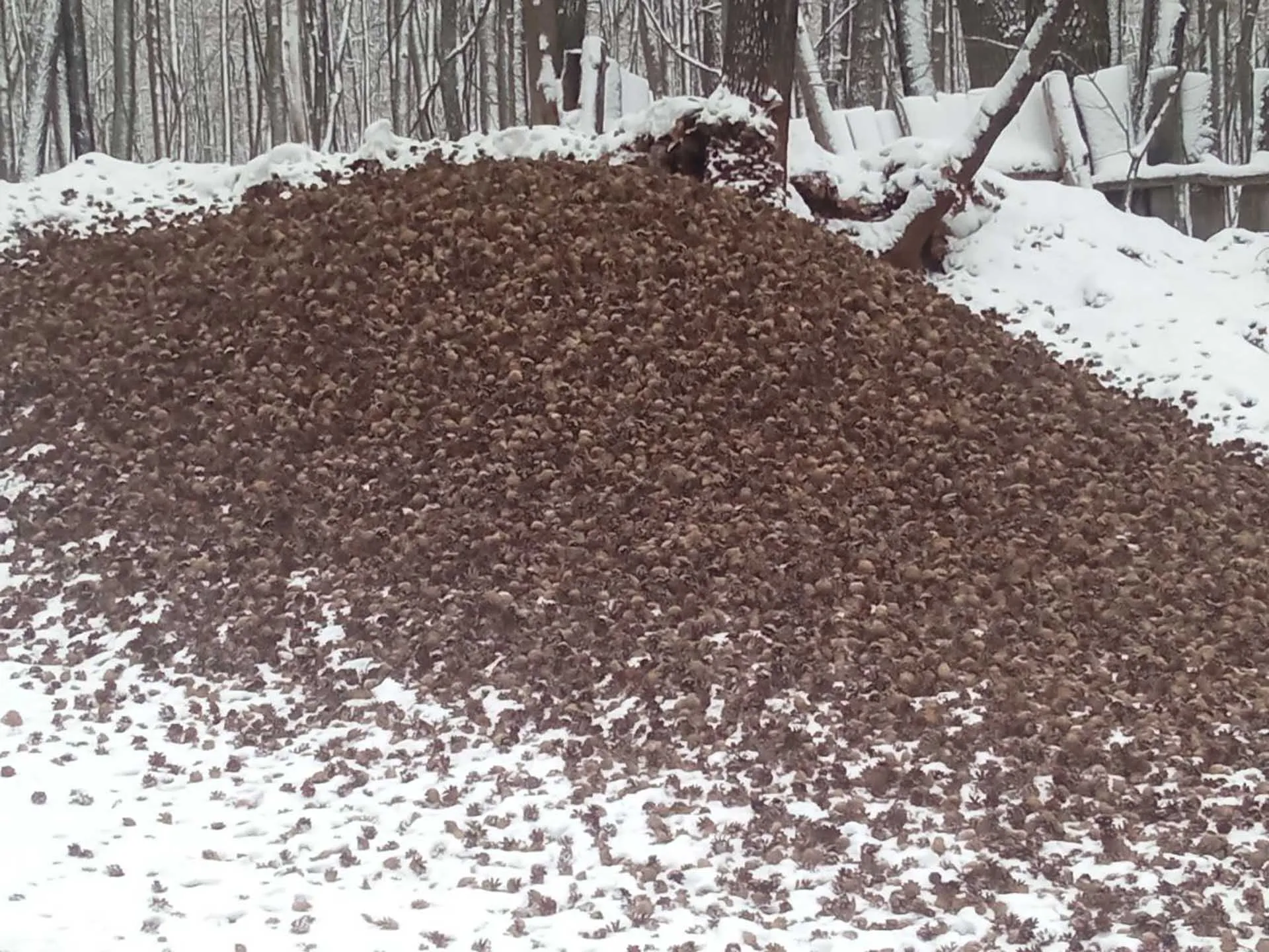 Минприроды Саратовской области