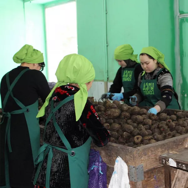Новосибирская компания увеличила выработку при упаковке овощей