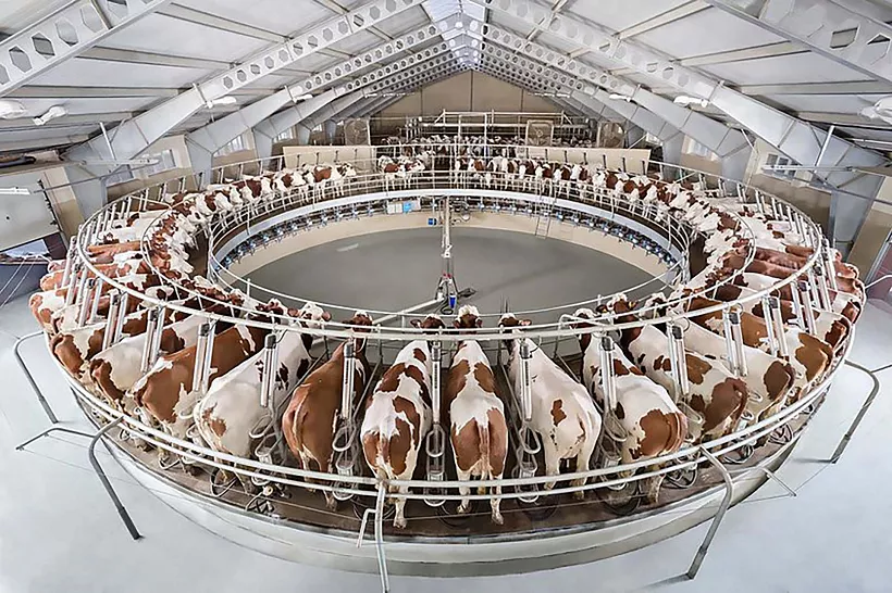 Воронежский производитель молочных продуктов увеличил выработку на&nbsp;32%