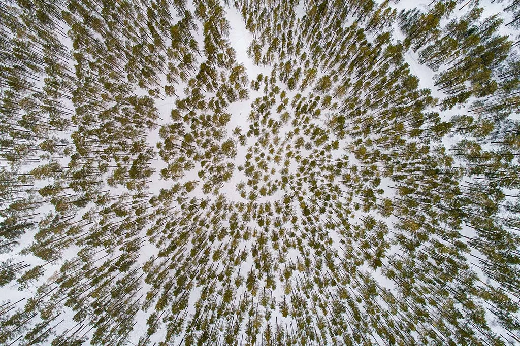 Сергей Бобылев/ТАСС