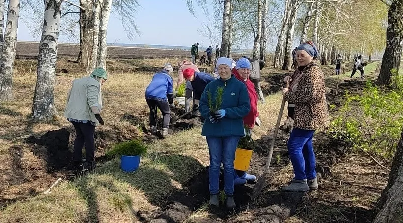В&nbsp;Буинском районе Татарстана высадили более двух тысяч деревьев