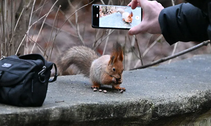 В&nbsp;Чечне пройдет республиканский экофотоконкурс для&nbsp;школьников