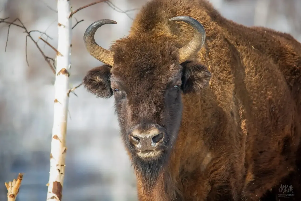 Министерство природопользования и экологии Республики Башкортостан
