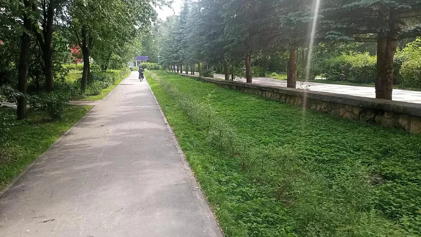 В&nbsp;Протвине Московской области благоустроили лесной массив