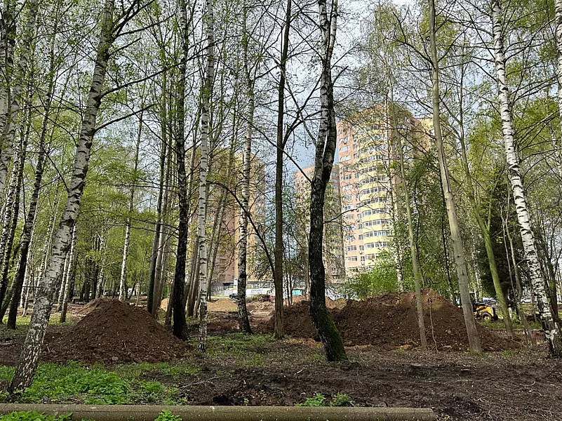 В&nbsp;Нижнем Новгороде началось благоустройство сквера на&nbsp;улице Богородского